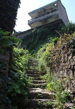 Shengshan wolfberry scenic spot