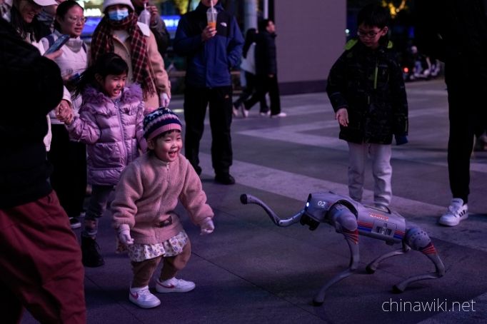 Chinese enterprise launches first all terrain riding robot dog